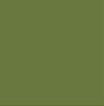 Charmeuse satin fabric by the yard - Pea Green solid