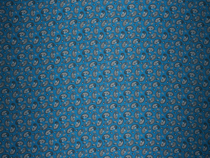 Blue Dainty Paisley   - Silky Satin Charmeuse print - fabric by the yard -