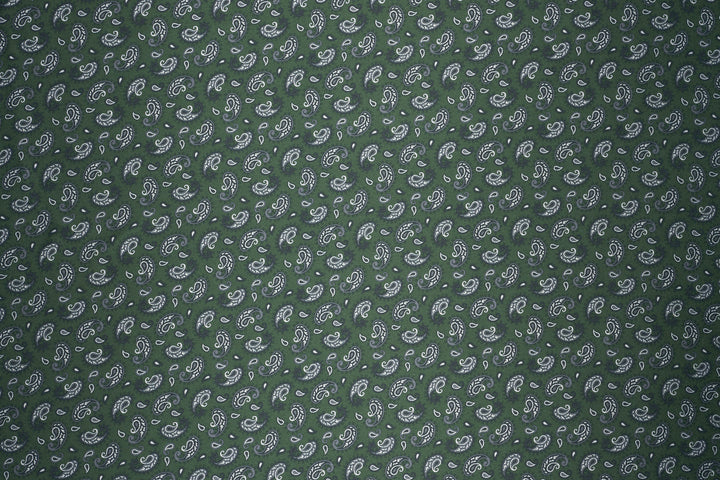 Green  Dainty Paisley   - Silky Satin Charmeuse print - fabric by the yard -