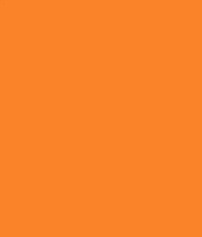 16Momme TANGERINE SILK CHARMEUSE fabric by the yard - 44” wide  100% silk